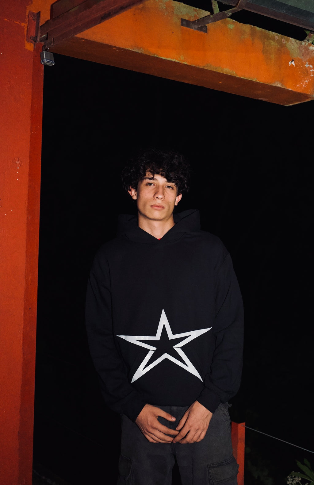 The Star Hoodie